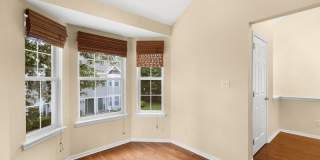 77 Williamson Ct Gallery 10