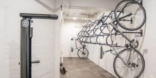 The Phoenix Gallery 20