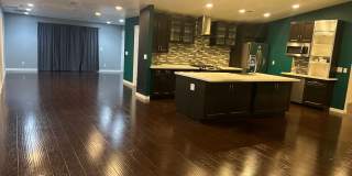 True Beauty! SOLAR Gallery 4