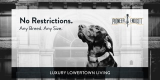 Pioneer Endicott Gallery 52