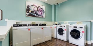 Thornhill Apartments Gallery 26