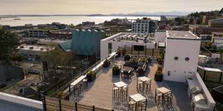 110 Roy Gallery 14