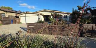 Wonderful Mid Century Home available for lease Gallery 1