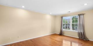 77 Williamson Ct Gallery 15