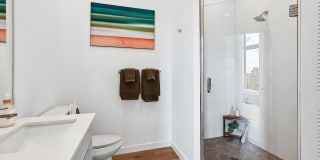 The Tropic Gallery 28