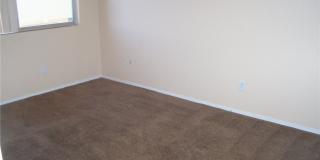 2204 SILVER PINE Drive Gallery 7