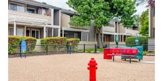 Sofi Dublin Gallery 10