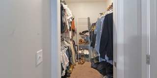 Savannah Sweetwater Station 3-Bed Home with Patio  Large Yard Gallery 27