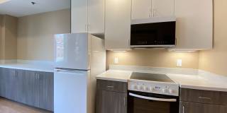 Red Oak at 83 Hanover Street Gallery 42