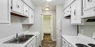 Williamsburg South Gallery 16