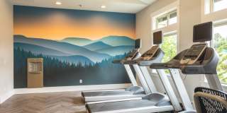 Vue Issaquah Gallery 15