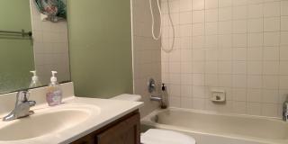 2304 Center Stone Lane Gallery 12