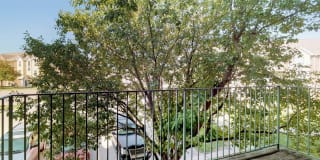 Torrey Pines Gallery 42