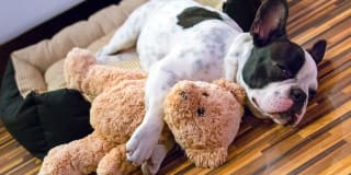 Amara Apartments Gallery 22