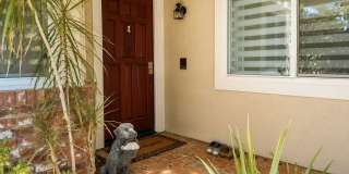 12245 Shady Hollow Ln Gallery 3