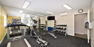 Forest Glen Gallery 15