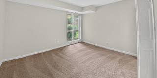 The Forest Apartments Gallery 20