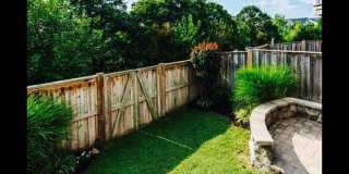 23421 SPICE BUSH Terrace Gallery 2