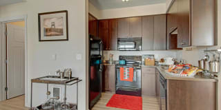 Element 170 Gallery 14