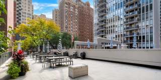 200 E Delaware Place Gallery 19