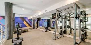 Encore NoVo Gallery 17