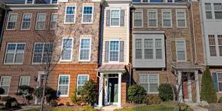 43593 Taylor Tree Terrace Gallery 1