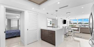 301 Lake Shore Drive unit: 411 Gallery 5