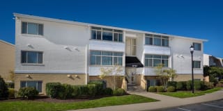 Evergreens at Laurel Gallery 6