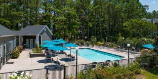 The Falls and Woods of Hoover Gallery 30