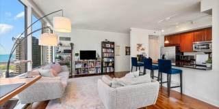 505 N McClurg Court Gallery 7