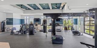 Integra Myst Gallery 25