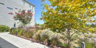 Vela Apartments Gallery 89