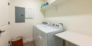 VALO at Desert Haven Gallery 23