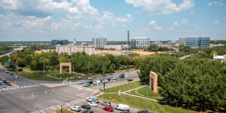 Towerview Ballantyne Gallery 52