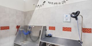 Venue on 16th Gallery 19