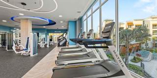 Mallory Square Apartments Gallery 62