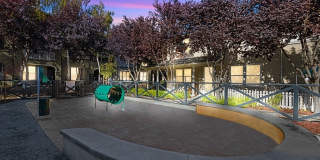 Saratoga Downs at Sheveland Ranch Gallery 33
