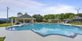 12244 LAKE FERN Drive Gallery 46