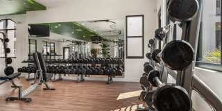 Solara Vista Gallery 45