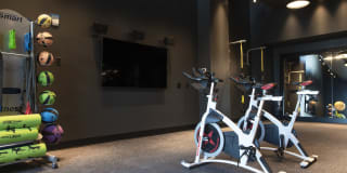 The Guild Gallery 11