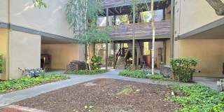 Spacious Upper Condo, A/C, Renovated Inside, Fresh Paint, Wood Flooring, A/C, Balcony, Pool! Gallery 1