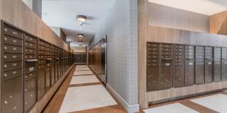 Atlas Crown Gallery 29