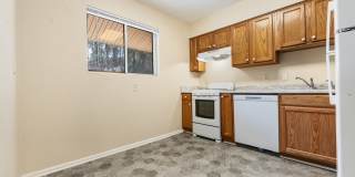 Two bedroom updated paint, carpet washer/dryer included in unit - Immediate Move In Gallery 1