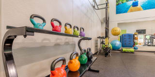 The Seasons Gallery 28