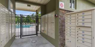 2837 SANTEGO BAY Court Gallery 23