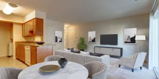 Fox Chase Gallery 8
