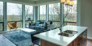 The Island Residences at Carlson Center Gallery 16