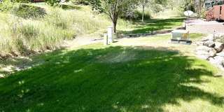 2510 Plumtree Grove - 1 Gallery 19