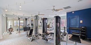 The Belmont Apartments Gallery 25