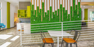 Birch Apartment Homes Gallery 22